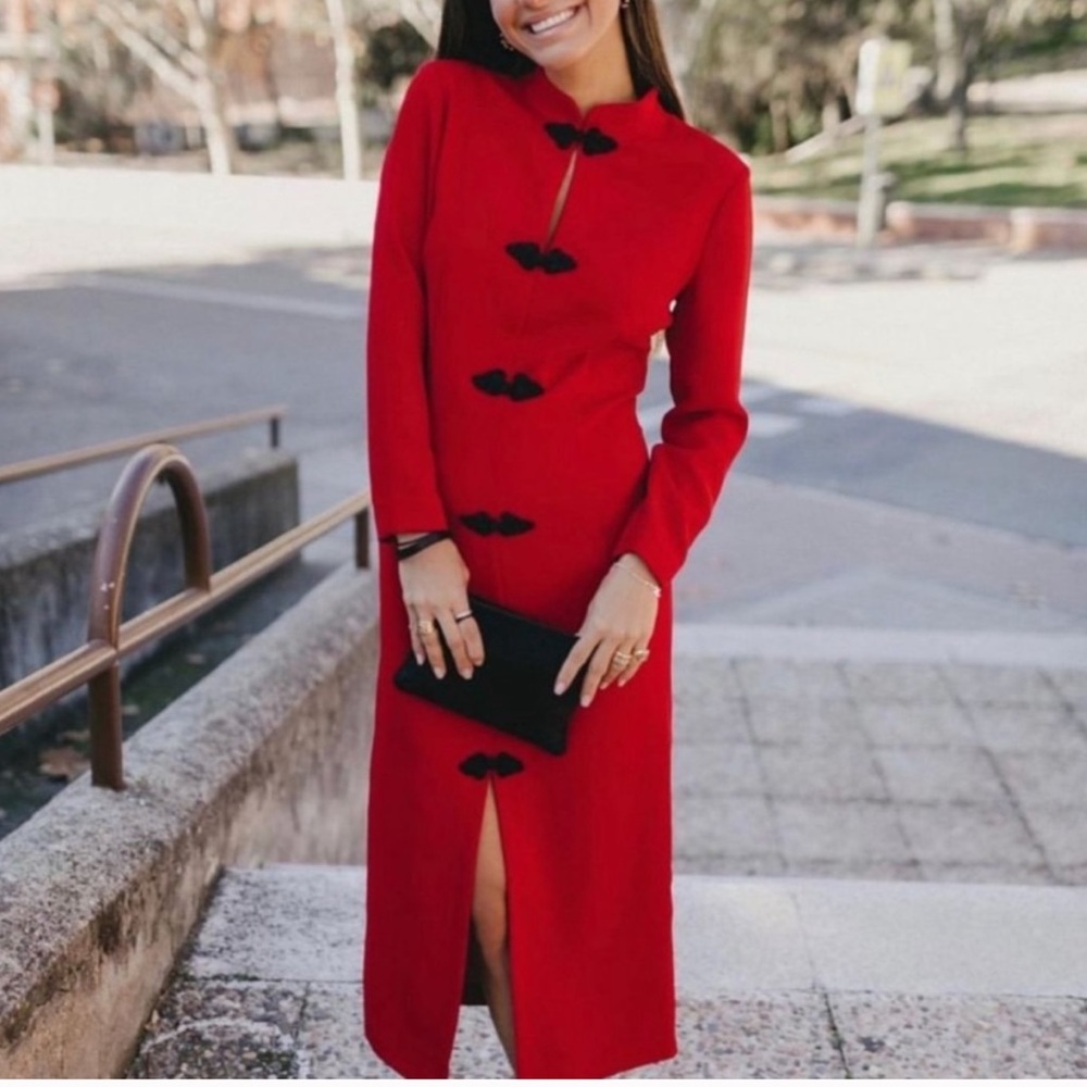 NWT! Zara toggle dress